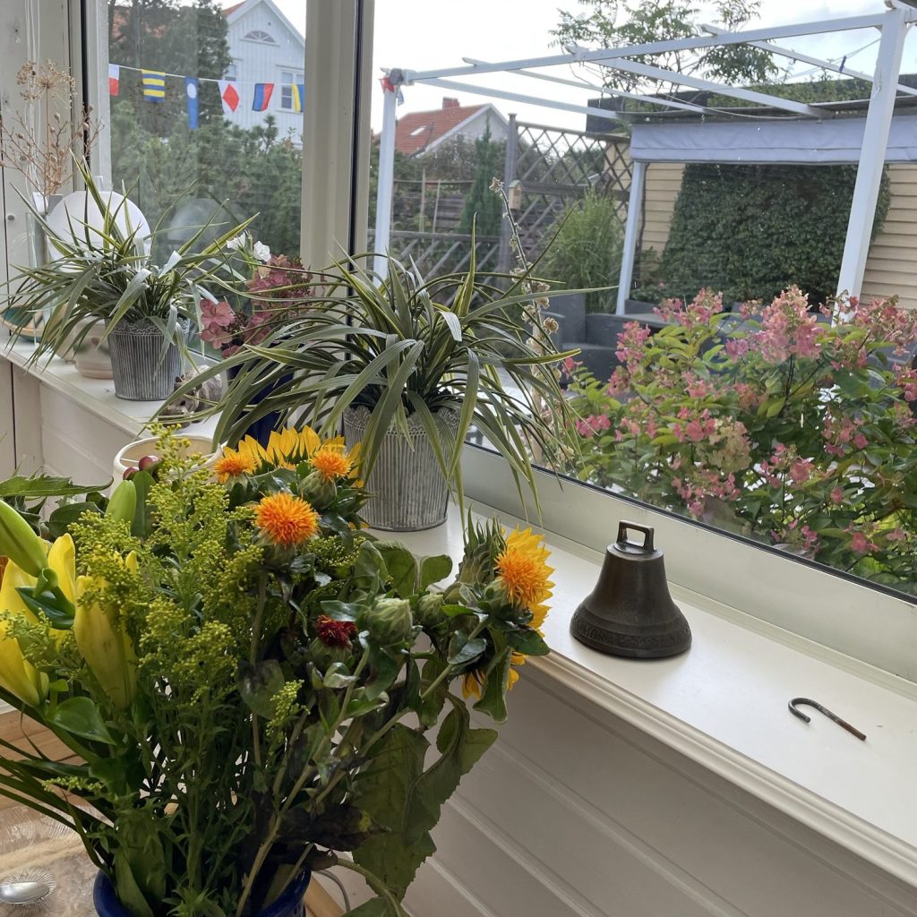 12. Solrosor och&nbsp;vardag